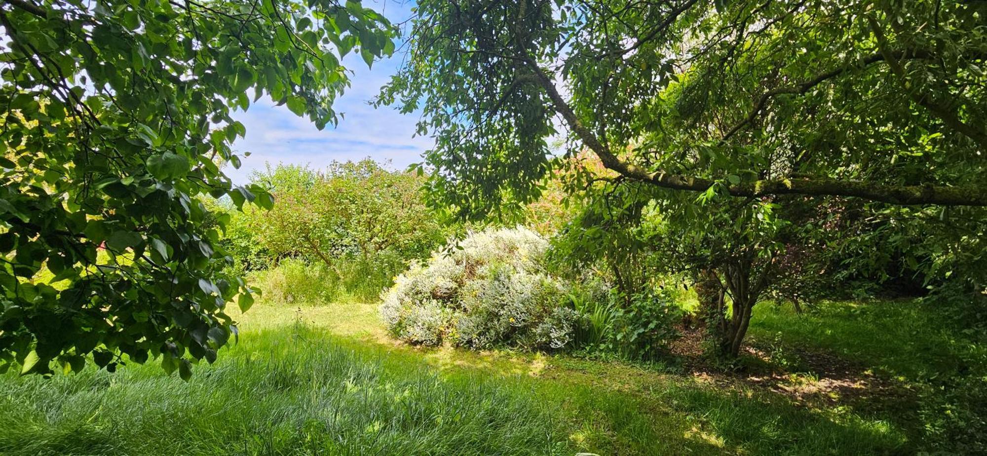 La Petite Maison Wimereux Eksteriør billede